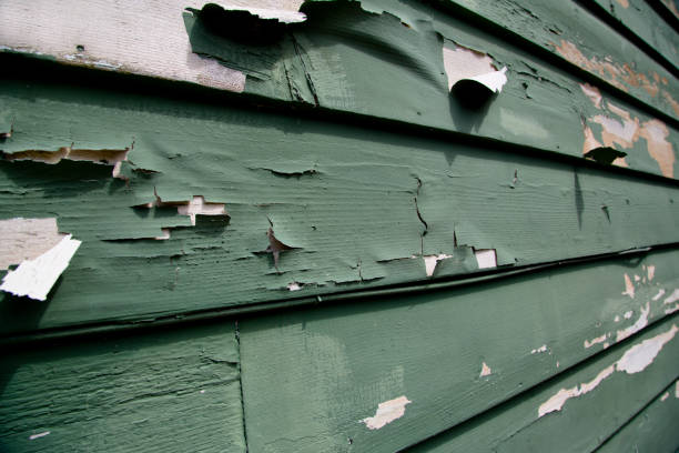  Bazon, CA Junk Removal Pros